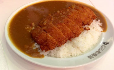 coco ichibanya curry