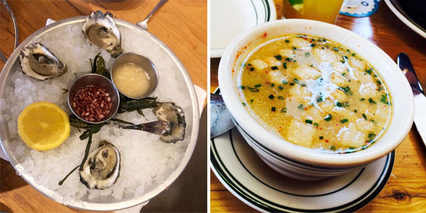 connie & ted's kumamoto oysters & rhode island clam chowder