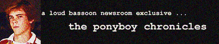 the ponyboy chronicles