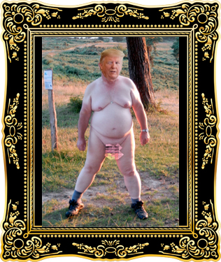 Donald Trump's Official Presidential Gay Porn Portrait